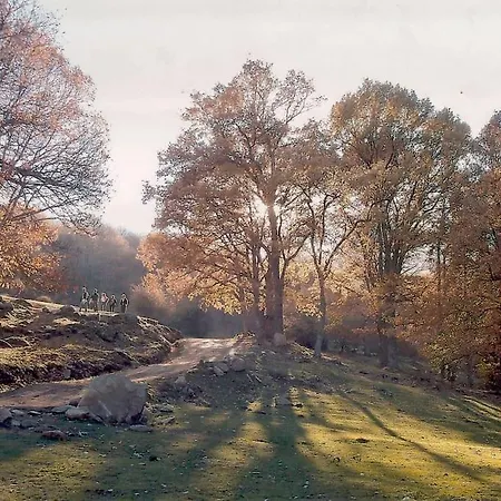 En El Burguillo - Picos Pardos Cra-av-1088 * El Barraco