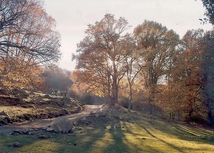 En El Burguillo - Picos Pardos Cra-av-1088 * El Barraco